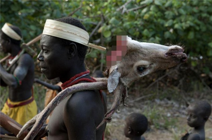 Mối đe dọa lớn nhất đối với sự tồn tại của họ là đường cao tốc chạy thẳng qua quê nhà. Con đường kéo theo nhiều du khách tới quần đảo. Nhiều du khách thậm chí còn coi các thành viên bộ lạc Jarawa là “động vật trong công viên hoang dã”.