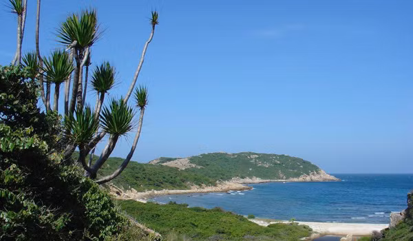 Vườn quốc gia Núi Chúa cũng được ghi nhận là nơi có quần thể rùa biển đến sinh sản gồm: đồi mồi (Eretmochelys imbricata), rùa xanh (Chelonia mydas), đồi mồi dứa (Lepidochelys olivacea).