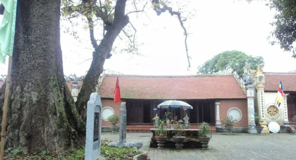 Từ am nhỏ, bà dựng thành chùa, đêm ngày chuyên tâm gõ mõ tụng kinh niệm Phật dân quanh vùng quen với tiếng mõ của bà, từ đó gọi ngôi chùa với cái tên mộc mạc là chùa Mõ.