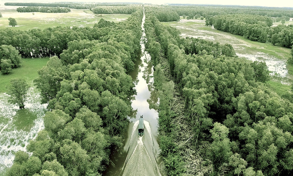 Rừng tràm tại vườn quốc gia Tràm Chim là thảm thực vật thân gỗ có diện tích lớn nhất, diện tích khoảng 2968ha.