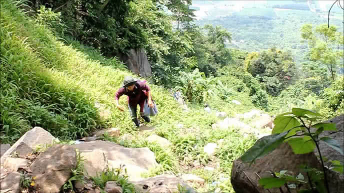Nắm được quy luật trên, cứ trời vừa nhá nhem tối, những tay săn ốc chuyên nghiệp lại quảy bộ đồ nghề, trang bị thêm một chiếc đèn pin và vài dụng cụ phòng tránh khi gặp rắn nhắm hướng núi thẳng tiến.