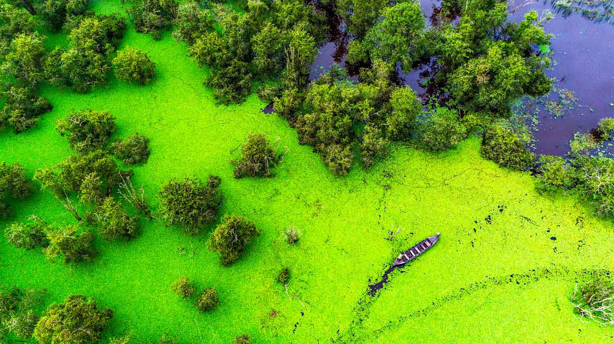  Vườn Quốc gia Tràm Chim ở huyện Tam Nông (Đồng Tháp) với diện tích là khoảng 7.313ha. Nơi này được công nhận là khu Ramsar (khu bảo tồn ngập nước) thứ 2.000 của thế giới và thứ 4 của Việt Nam. 