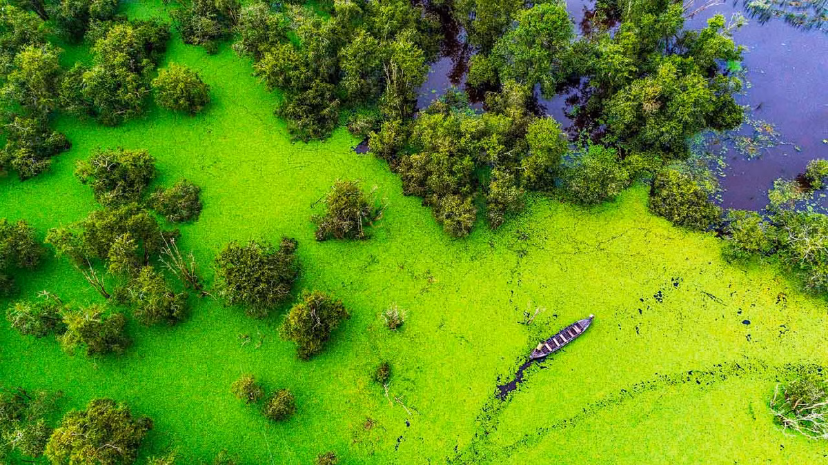  Vườn Quốc gia Tràm Chim ở huyện Tam Nông (Đồng Tháp) với diện tích là khoảng 7.313ha. Nơi này được công nhận là khu Ramsar (khu bảo tồn ngập nước) thứ 2.000 của thế giới và thứ 4 của Việt Nam. 
