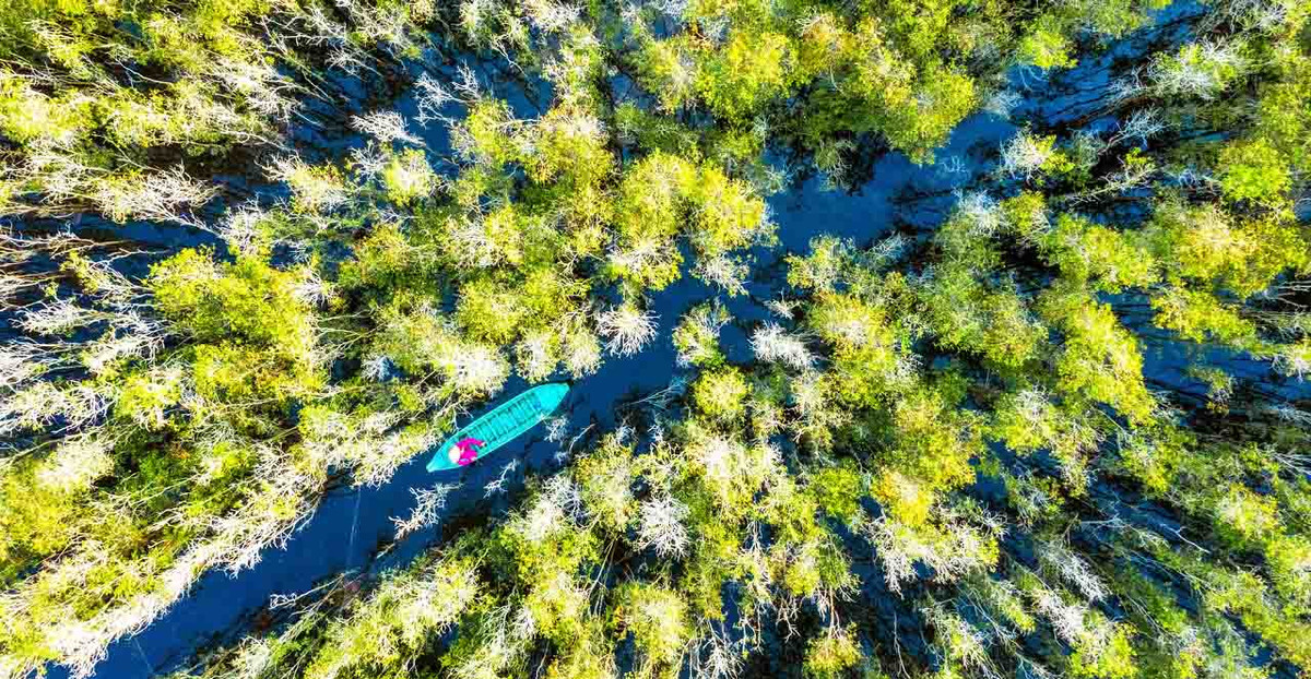 Vườn quốc gia Tràm Chim nổi bật với các kiểu quần xã đặc trưng phân bố xen kẽ với nhau: quần xã sen, lúa trời, năng, cỏ ống, mồm mốc, rừng tràm, đầm lầy, đồng cỏ ngập nước.