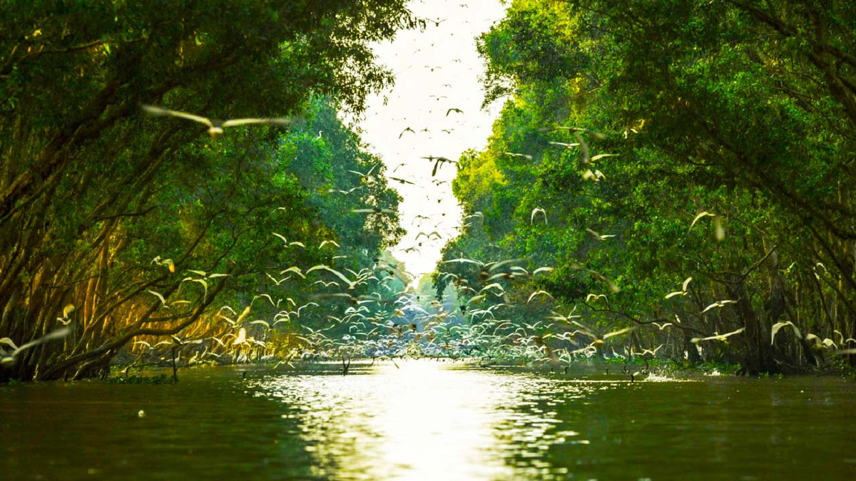 Các phân khu còn lại bao gồm A2 là bãi đẻ của chim, A3 bảo tồn các loài cá, A4 là bãi kiếm ăn chính của sếu đầu đỏ.