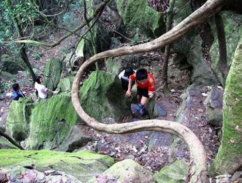 Để chinh phục đỉnh núi Thần Đinh, du khách phải vượt qua khoảng 1265 bậc đá, hai bên đường là những hàng cây xanh mát. Dọc đường đi còn có hai ngôi mộ cổ được đắp đá rất đẹp.