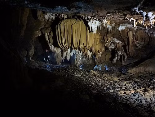 Đây là lần thám hiểm thứ 20 của đoàn thám hiểm kể từ đợt khảo sát đầu tiên vào năm 1990. Lần này đoàn có 12 chuyên gia thám hiểm 12 khu vực khác nhau thuộc khu vực vườn quốc gia Phong Nha - Kẻ Bàng và vùng lân cận thuộc các huyện Bố Trạch, Minh Hóa, Quảng Ninh và Lệ Thủy.