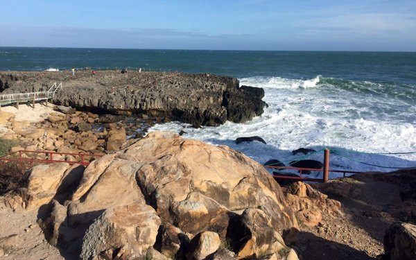 Vĩnh Hy là một vịnh nhỏ thuộc quần thể vườn quốc gia Núi Chúa. Nơi đây sở hữu những rạn san hô đẹp huyền ảo cùng các đàn cá nhiều màu sắc bơi lội trong làn nước trong vắt. Những rạn san hô ở ngay rìa các đảo, cách mặt nước biển từ 2 đến 4 m.