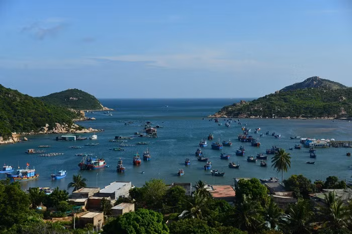  Vườn quốc gia Núi Chúa nằm trên địa bàn hai huyện Ninh Hải và Thuận Bắc, tỉnh Ninh Thuận với diện tích là 29.865 ha. 