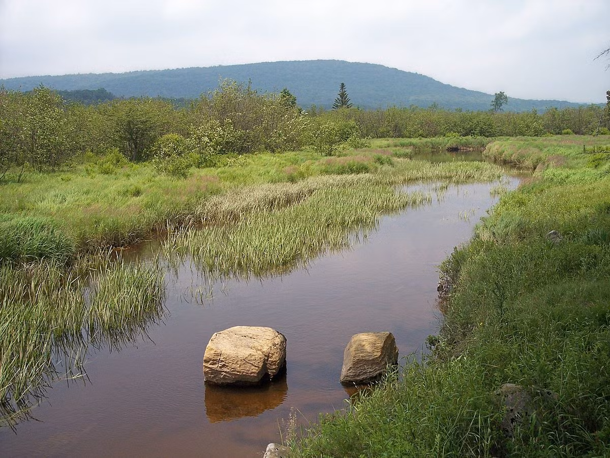 Sinh cảnh sống của loài rùa Trung Bộ là suối và đầm lầy, nơi nước chảy chậm hay tĩnh; ăn tạp các loài côn trùng, giun, cá và thực vật thủy sinh.
