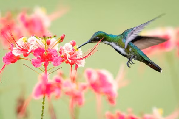 3 con giáp này có vận thế lên như diều gặp gió trong tháng 11, gặp gỡ quý nhân, sự nghiệp thăng tiền. Tháng 11 đã gõ cửa, nhiều người trong chúng ta sẽ gặp gỡ những điều mới mẻ trong sự nghiệp và cuộc sống. Để gặt hái được tin vui thì tâm trạng và thái độ làm việc của chúng ta rất quan trọng. Nó có thể quyết cơ hội, định hướng phát triển sự nghiệp trong tương lai của bạn. 