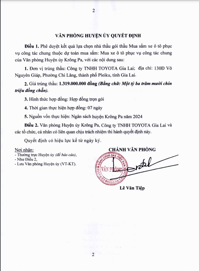 Gia Lai: Goi Mua xe o to phuc vu cong tac chung da co chu-Hinh-2