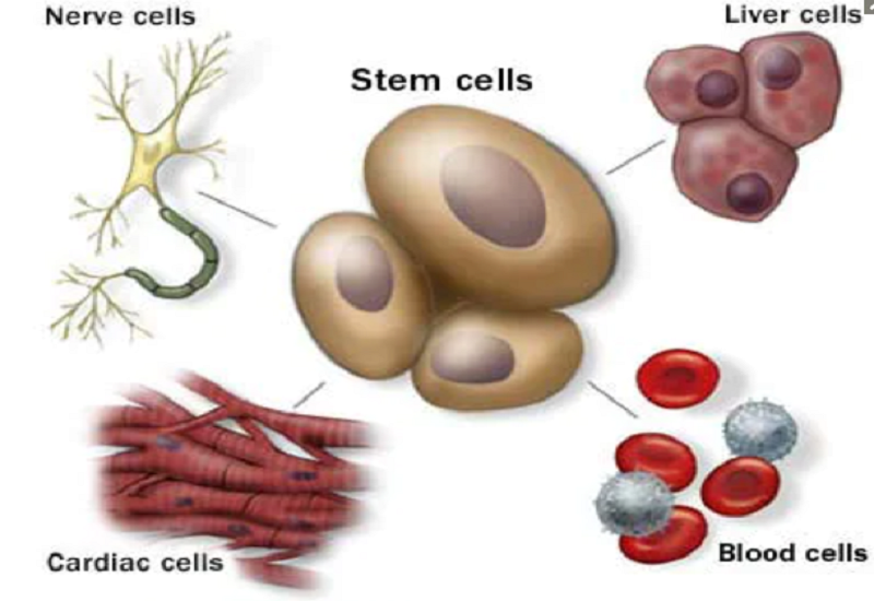 Dieu tri bang lieu phap te bao goc co uu diem gi?