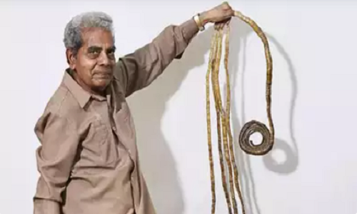 Chiếc móng tay dài nhất của Chillal là móng tay cái, dài 197,8 cm.