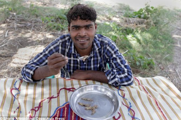 Thực đơn ăn uống của anh khiến nhiều người khiếp sợ: Bữa sáng có dosa và giun đất, bữa tối có Dal và chuồn chuồn, và bữa ăn nhẹ giữa ngày là 10 hoặc 20 con thằn lằn. Anh giữ kỷ lục Guinness thế giới về số lượng giun đất ăn được nhiều nhất trong một phút.