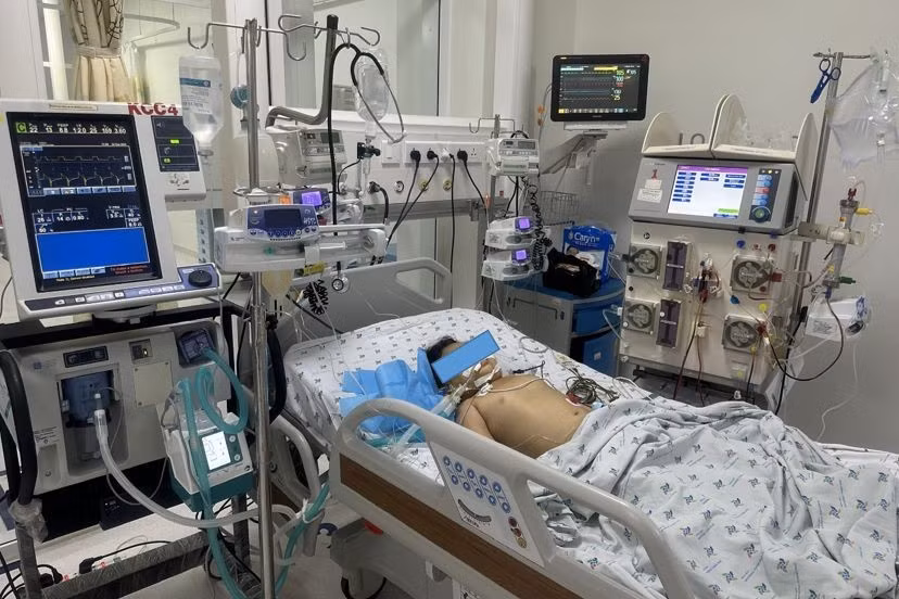 Sốc phản vệ độ II và loạt hậu quả vì côn trùng đốt - Hình 2 Soc phan ve do II va loat hau qua vi con trung dot-Hinh-2