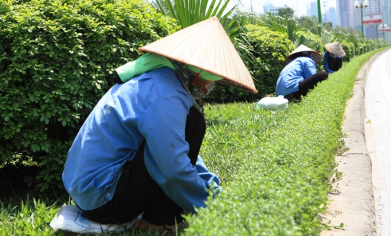 Ngày 8/3, nhiều người phụ nữ ngập tràn trong niềm vui hạnh phúc, xúng xính trong những bộ trang phục đẹp hân hoan đón nhận tình cảm của người thương thì đâu đó vẫn còn không ít người phụ nữ khác đang phải bươn chải mưu sinh, lo cơm áo gạo tiền. Họ không biết, không có và cũng không nghĩ đến ngày 8/3 từ lâu rồi...