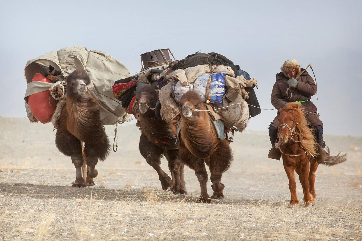 Kazakh là một bộ lạc bán du mục, sinh sống với đàn gia súc gồm cừu, dê, ngựa, lạc đà và bò yak lông dài.