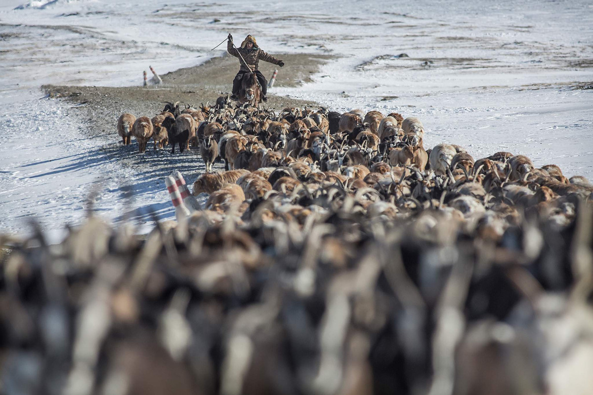 Cuộc hành trình đi săn của người Kazakh xuyên dãy núi Altai diễn ra từ tháng 2 đến tháng 4 hàng năm.