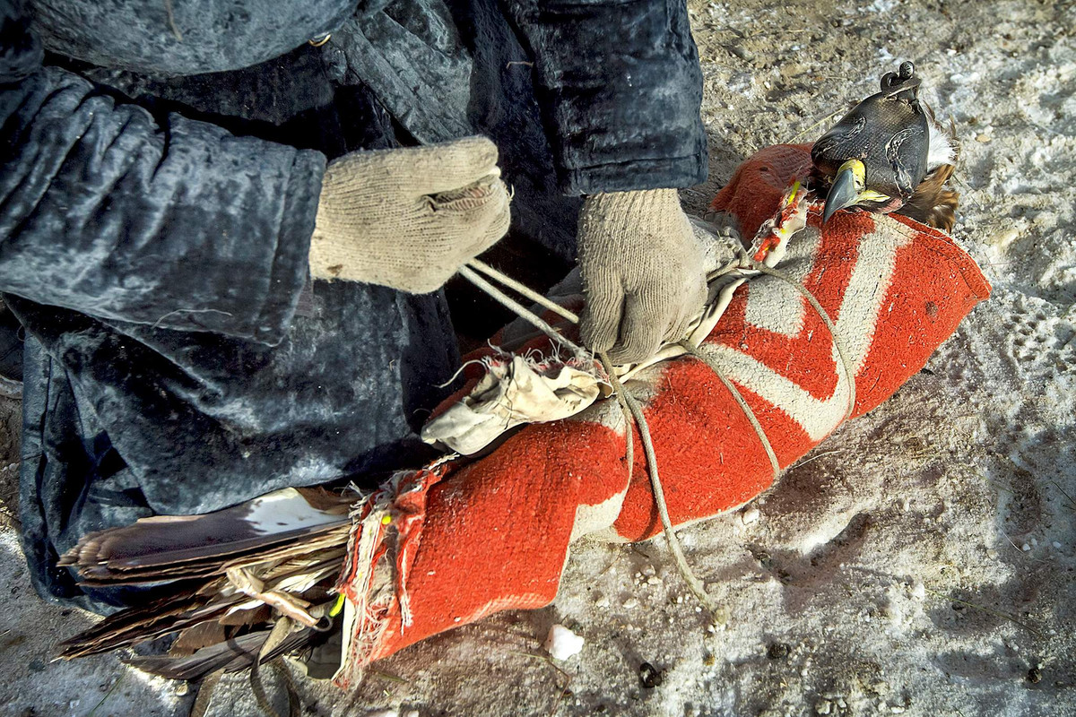 Trong chuyến đi săn 5 ngày, người Kazakh thường di chuyển trong bán kính 150 km.