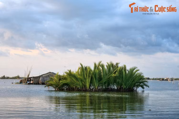 Ngày nay, đầm Thị Tường là một trung tâm nuôi trồng các loại thủy sản nước lợ như tôm sú, cua. Cư dân sinh sống quanh đầm chủ yếu bằng nguồn lợi thủy hải sản khai thác được từ đầm.