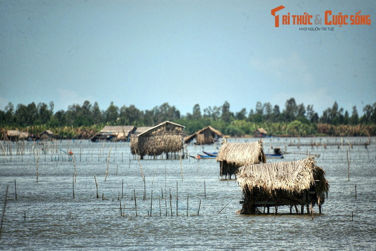Tuy là phận nữ nhi nhưng Bà Tường rất dũng cảm, đã xua đuổi đàn chim trời, giúp đầm nước thoát khỏi nguy cơ bị hủy hoại.