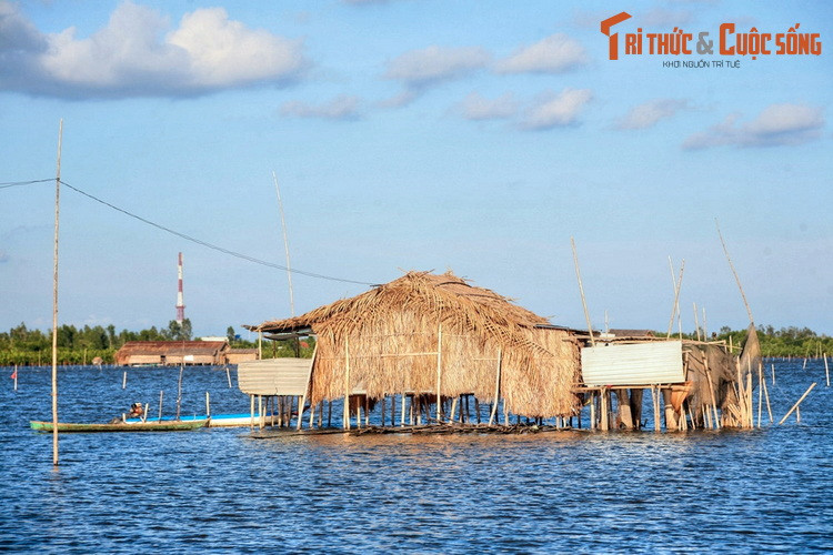 Thị Tường được cha cử sang giữ và khai thác vùng đầm lớn gần nhà. Tại đây, bà lập nhiều công trạng, được nhân dân địa phương tôn vinh. Sau này, khu đầm gắn với sự nghiệp của bà được gọi là đầm Thị Tường...