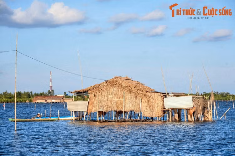 Thị Tường được cha cử sang giữ và khai thác vùng đầm lớn gần nhà. Tại đây, bà lập nhiều công trạng, được nhân dân địa phương tôn vinh. Sau này, khu đầm gắn với sự nghiệp của bà được gọi là đầm Thị Tường...