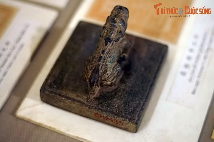 Theo tổ chức quân đội đời Lê Thánh Tông thì lực lượng quân đội phòng trú ở các Đô Ty, ngoài các Đạo thuộc các Vệ, các sở Thiên hộ, Nhất bách Hộ đều là quân chiến đấu khi có chiến tranh.