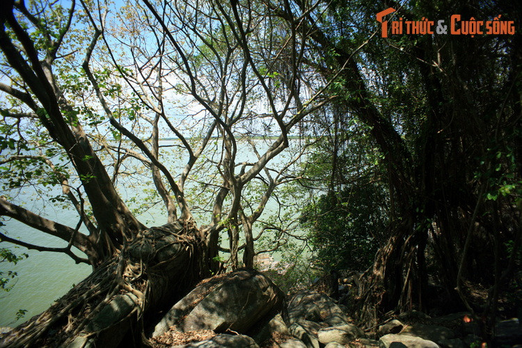 Kết quả, lực lượng an ninh Việt Nam đã tiêu diệt hàng trăm tên biệt kích xâm nhập, trong đó có tên cầm đầu Mai Văn Hạnh, tịch thu gần 100 tấn vũ khí, tiền giả và các trang thiết bị khác.