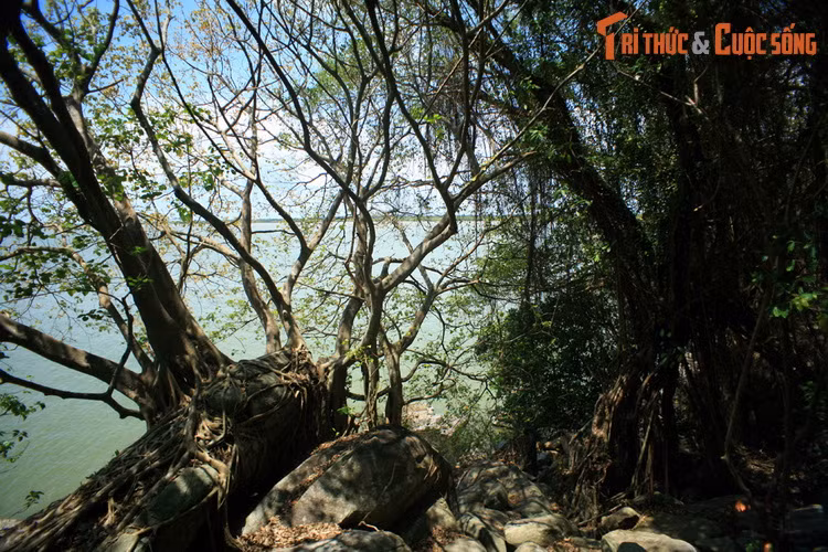 Kết quả, lực lượng an ninh Việt Nam đã tiêu diệt hàng trăm tên biệt kích xâm nhập, trong đó có tên cầm đầu Mai Văn Hạnh, tịch thu gần 100 tấn vũ khí, tiền giả và các trang thiết bị khác.