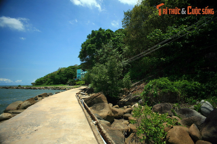 Để ngăn chặn âm mưu này, chuyên án CM12 đã được lập. Sau 3 năm kiên trì, mưu trí, dũng cảm, các chiến sĩ của lực lượng an ninh nhân dân Việt Nam đã đập tan âm mưu của địch, kết thúc thắng lợi chuyên án.