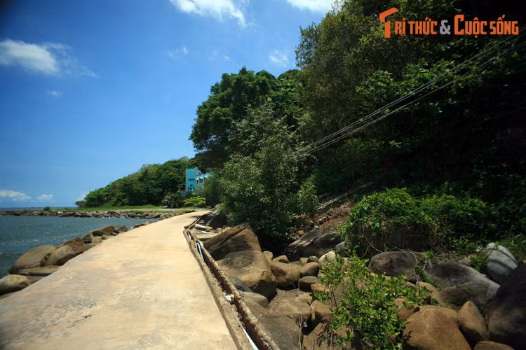 Để ngăn chặn âm mưu này, chuyên án CM12 đã được lập. Sau 3 năm kiên trì, mưu trí, dũng cảm, các chiến sĩ của lực lượng an ninh nhân dân Việt Nam đã đập tan âm mưu của địch, kết thúc thắng lợi chuyên án.