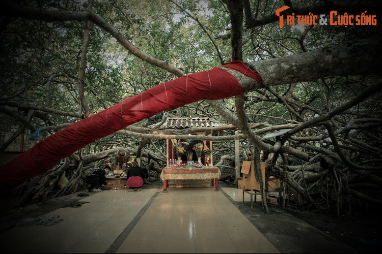 Từ đó, ngôi miếu trở thành sinh hoạt tâm linh của người dân địa phương. Khách thập phương nghe tiếng lành đồn xa cũng ghé đến để cầu mong cho mưa thuận gió hòa, cuộc sống bình an, thuận lợi. Cây gừa cũng phát triển theo thời gian, tạo thành giàn lớn.