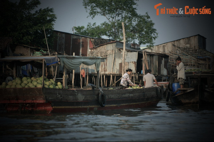 Trên báo Cần Thơ, tác giả Trần Ngu Lạc đã kể lại chi tiết truyền thuyết này. Theo đó, ngày xưa, ở Vàm sông Cần Thơ, nơi giáp giới giữa hai làng Thường Thạnh và Tân An có một con cá sấu rất lớn và hung dữ.