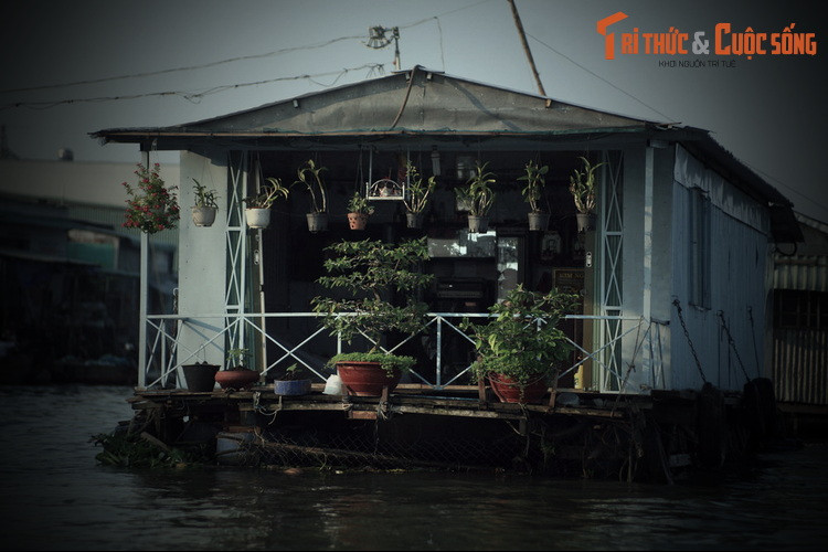 Khi sấu nổi lên nó to bằng chiếc xuồng ba lá, dài 5 đến 6 thước. Nhiều người đi qua khúc sông này bằng xuồng, ghe đã bị thủy quái khổng lồ nổi lên quật chìm và cắp đi mất xác.