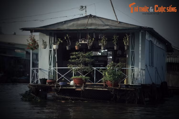 Khi sấu nổi lên nó to bằng chiếc xuồng ba lá, dài 5 đến 6 thước. Nhiều người đi qua khúc sông này bằng xuồng, ghe đã bị thủy quái khổng lồ nổi lên quật chìm và cắp đi mất xác.