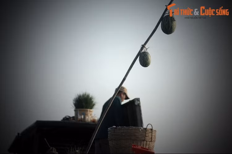 Trong khi đó, hàng trăm trai làng lặng lẽ đốn gỗ, xóc trụ, đào đất đắp một con đập ngoài đầu vàm. Khi con cá sấu xem xong gánh hát bội thứ ba ở sâu trong ngọn rạch thì trời vừa sáng, nước đang ròng chỉ còn khoảng một phần ba sông, con đập cũng vừa hoàn thành.