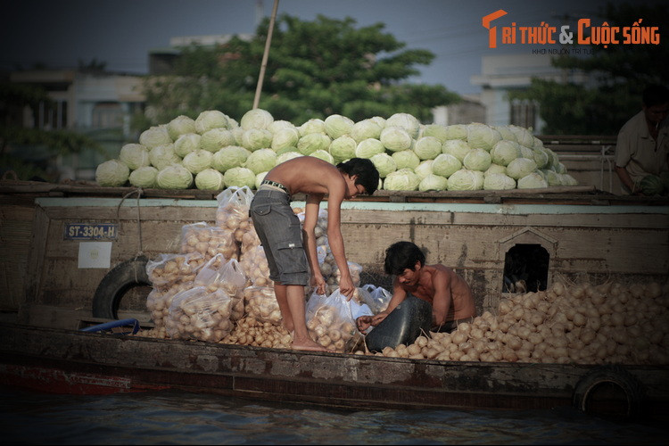 Nhưng thấy con cá sấu chẳng làm hại ai, chỉ nổi lên xem hát bội nên người ta quay lại, chẳng còn sợ hãi nữa. Ông xã trưởng còn sai người làng ném đồ cúng xuống cho sấu ăn. Dân làng quen dần với việc sấu xem hát bội cúng đình hàng năm.