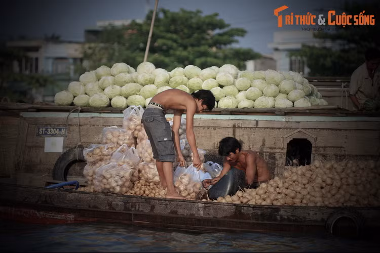 Nhưng thấy con cá sấu chẳng làm hại ai, chỉ nổi lên xem hát bội nên người ta quay lại, chẳng còn sợ hãi nữa. Ông xã trưởng còn sai người làng ném đồ cúng xuống cho sấu ăn. Dân làng quen dần với việc sấu xem hát bội cúng đình hàng năm.