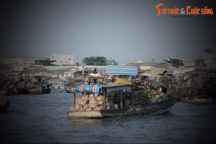 Một ngày nọ, trong làng có anh lực điền yêu và làm đám cưới với cô thôn nữ ở làng bên. Đám rước dâu có hàng chục ghe, có dàn nhạc lễ, trống kèn... vui như hội. Bất ngờ con cá sấu nổi lên, quật đuôi thật mạnh làm chìm 3-4 chiếc ghe.