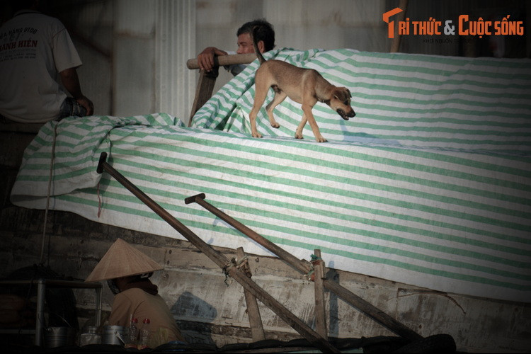 Con cá sấu uể oải bơi ra sông cái sau một đêm trắng xem hát. Nhưng nó bị con đập chặn lại khi ra đến đầu vàm. Từ trên bờ, hàng ngàn mũi lao bằng gốc tầm vông già vạt nhọn, những mũi chĩa đinh ba... phóng tới tấp vào con vật trong tiếng hò hét vang động...