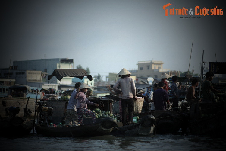 Điều lạ là con cá sấu rất mê xem hát bội. Những lần đình làng tổ chức cúng lễ thượng điền, hạ điền có mời gánh hát bội về diễn, nó đều trườn lên bãi nằm xem. Đám đông đang xem hát trên sân đình hoảng loạn, bỏ chạy tứ phía.