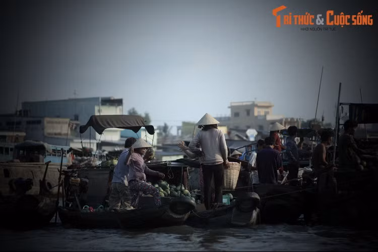 Điều lạ là con cá sấu rất mê xem hát bội. Những lần đình làng tổ chức cúng lễ thượng điền, hạ điền có mời gánh hát bội về diễn, nó đều trườn lên bãi nằm xem. Đám đông đang xem hát trên sân đình hoảng loạn, bỏ chạy tứ phía.