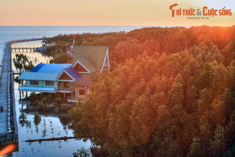 Với diện tích gần 69.000 ha, trải dài 6 huyện Đầm Dơi, Phú Tân, Trần Văn Thời, U Minh, Ngọc Hiển và Năm Căn của tỉnh Cà Mau, rừng ngập mặn Cà Mau là khu rừng ngập mặn lớn nhất Việt Nam.