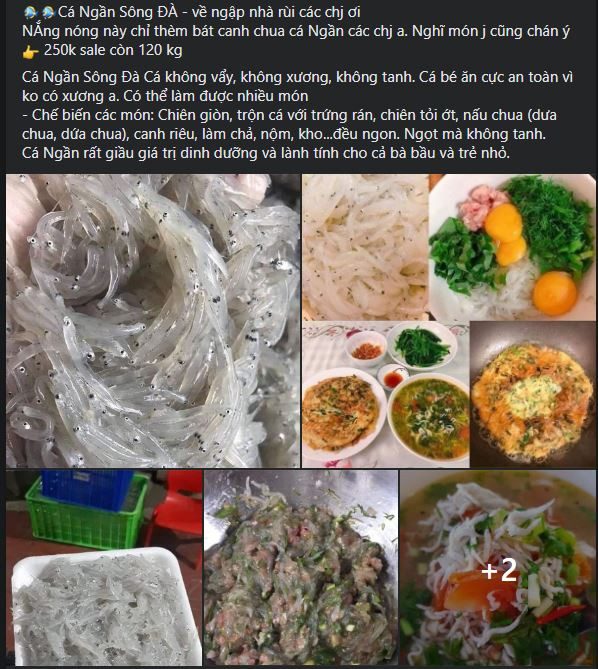 Cá ngần được bày bán với giá khá rẻ, người tiêu dùng đặt câu hỏi nghi vấn.