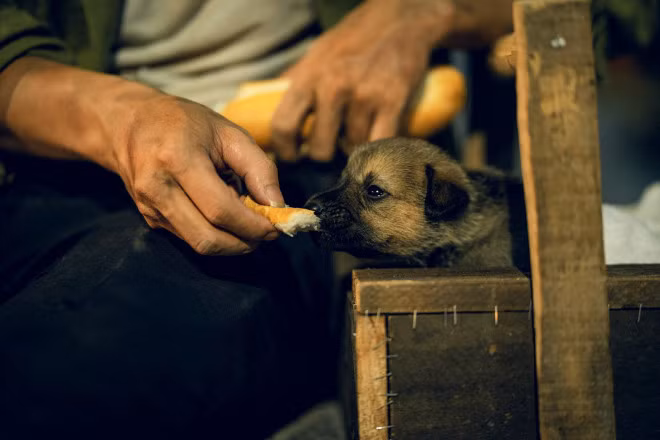 Những bức ảnh đã tái hiện cuộc sống vất vả, lam lũ của người bố nghèo (do bạn trẻ Thành Long thủ vai) làm nghề đánh giầy trên đường phố Hà Nội.