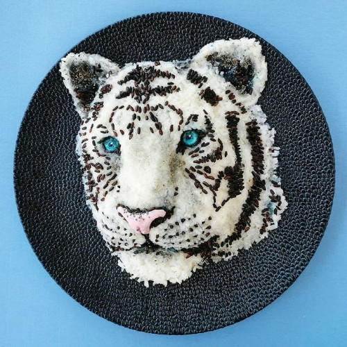 Đa phần bình luận đều cho rằng, những đĩa đồ ăn quá đẹp đến mức họ không nỡ ăn.