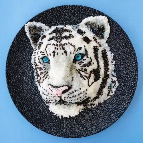 Đa phần bình luận đều cho rằng, những đĩa đồ ăn quá đẹp đến mức họ không nỡ ăn.