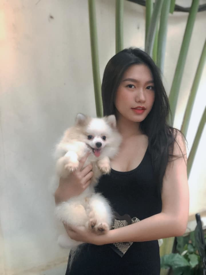 Với những thành tích học tập ấn tượng này cùng nhan sắc xinh đẹp, dáng người thon gọn hoàn hảo, Hải My được nhiều người nhận xét rằng sẽ trở thành một trong số những ứng cử viên sáng giá cho ngôi vị Hoa hậu Hoàn vũ 2020 năm nay.